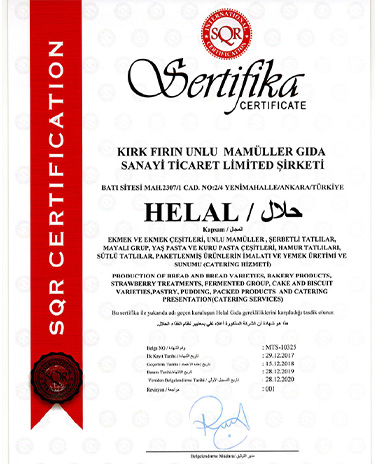 Sertifika 1