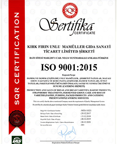 Sertifika 2
